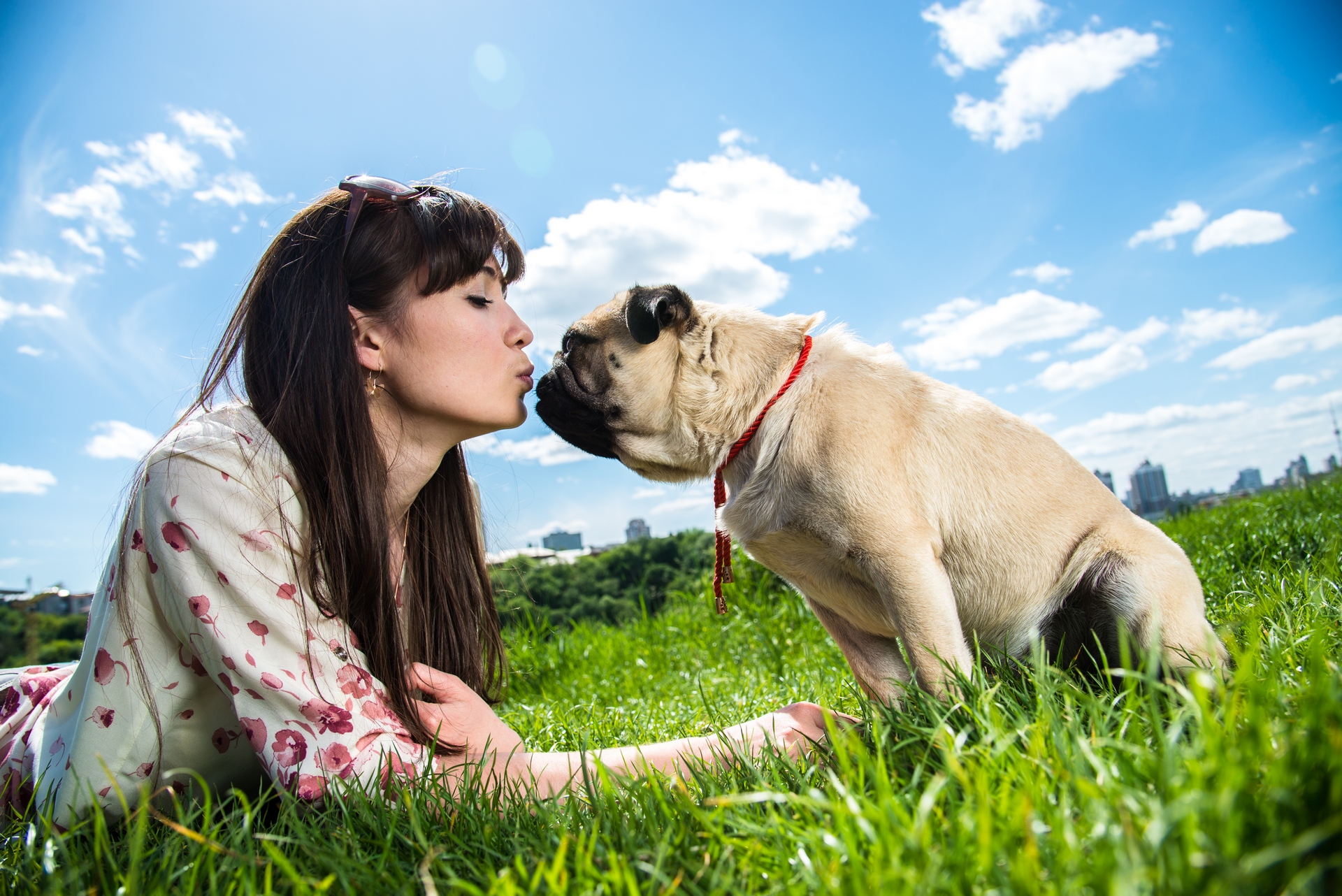 Girl kissing dog breed Mops