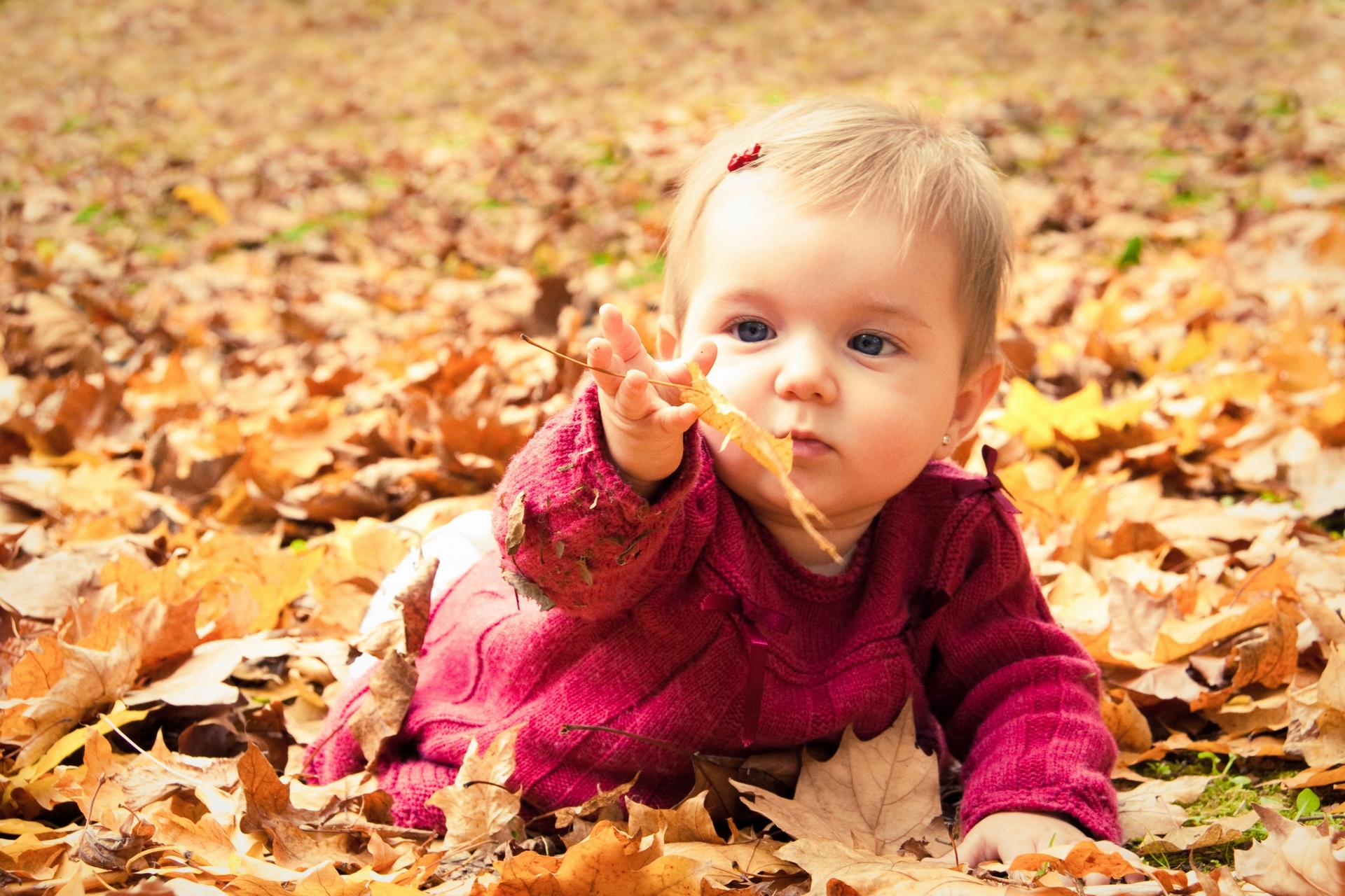 Cute baby girl playing with leaves in autumn